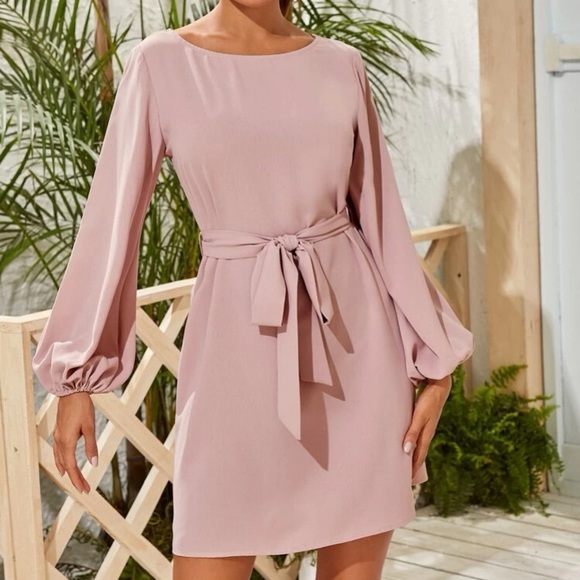 Rust pink lantern long sleeve mini dress Minimalist Work - Picture 7 of 16